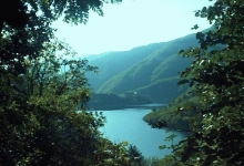 Rezervatia Naturala Piatra Andreaua poza